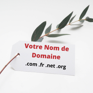 Achat ou transfert de Nom de Domaine (.fr .com .net)
