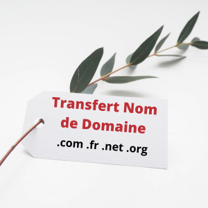 Transfert de Nom de Domaine
